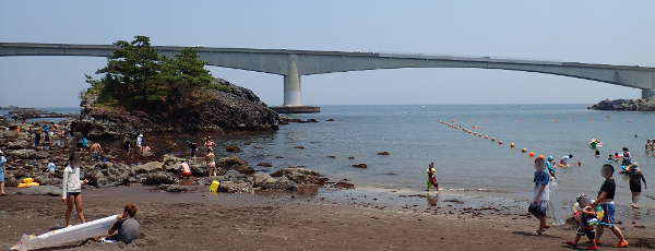 真鶴半島 岩海岸(2015/08/02) 中潮　晴れ