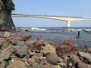 真鶴半島 岩海岸　Ａエリア