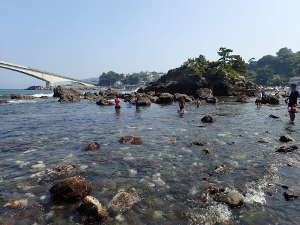 Ａエリアは、浅いゴロ石の海岸