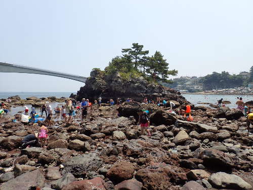 真鶴半島 岩海岸　Ｂエリア