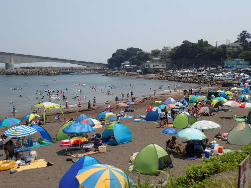 岩海岸海水浴場エリアの全景