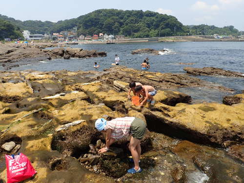 観音崎海岸　南側エリア