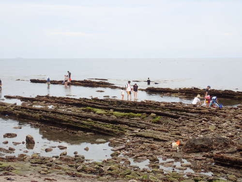 南房総 沖ノ島 南房総 沖ノ島