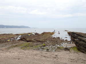 ④北西の浜の北側にある岩場