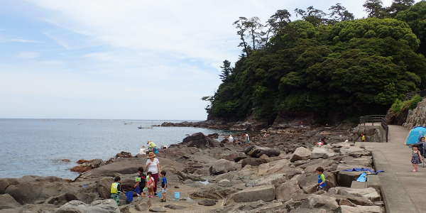 真鶴半島 琴ケ浜海岸(2016/06/04) 大潮　晴れ大洗海岸で磯遊びを楽しむ家族（2017/07/08)大潮　晴れ