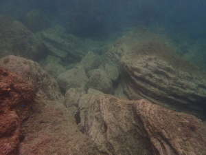 海底の岩場は、起伏に富む