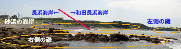 三浦半島 長浜海岸&和田長浜海岸のポイント