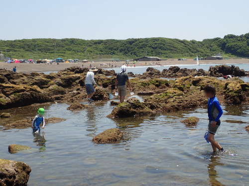 長浜海岸「右の磯」ポイント