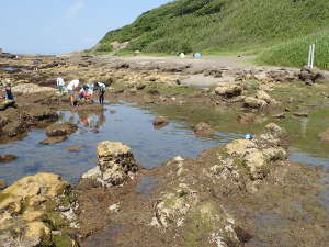 長浜海岸 砂浜に近い磯