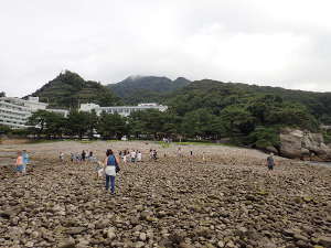 瀬浜海岸の両側の景観