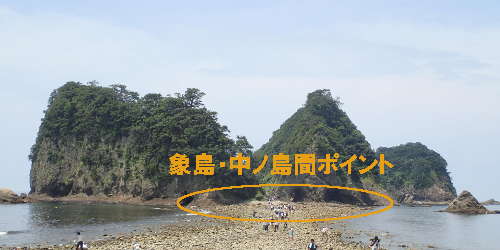 象島・中ノ島間ポイント