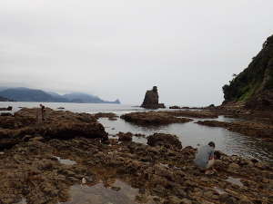 象島・中ノ島間ポイントの奥エリア