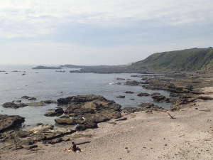 釜島・千鳥島エリアの全景