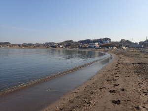 海岸には、多くの貝殻がある。