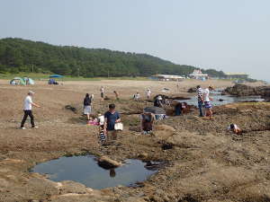 砂浜近くに平らな磯場がある