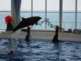 アクアワールド・茨城県大洗水族館