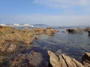 浦賀側の岩場