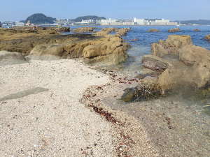 三浦半島ではめずらしい白い砂浜海岸