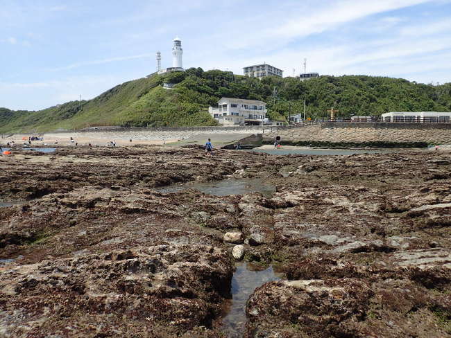 干潮時の御前崎海岸で磯遊びを楽しむ（2018/06/17)中潮　晴れ