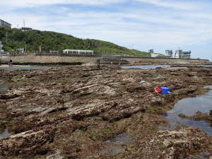 ⑰海側の磯から内陸を見る