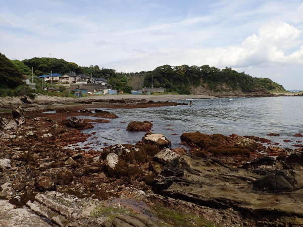 人が少なく磯遊びも楽しめる大浦海岸（2019/05/18)大潮　晴れ