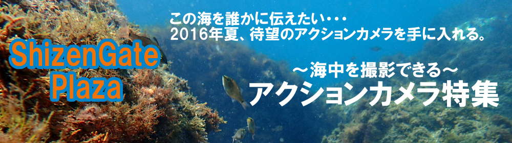 2016年　海中を撮影できるアクションカメラ特集の表紙イメージ画像