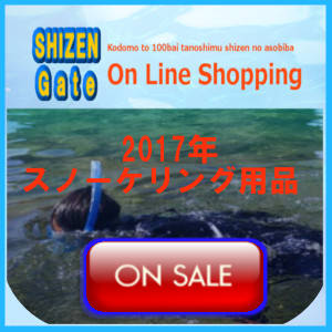 On line Shoppingスノーケリング用品バナー