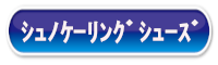 シュノケーリングシューズ