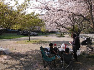 花見デイキャンプの画像04