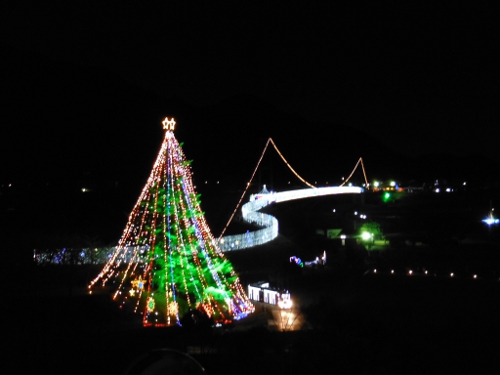 マツボックリのクリスマスツリー02の画像