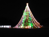 ジャンボクリスマスツリーの画像