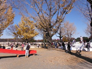 国営昭和記念公園の公園の画像01