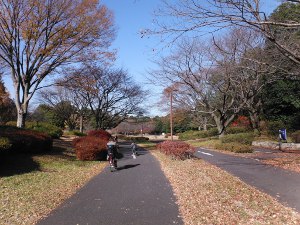 国営昭和記念公園サイクリングロードの画像05