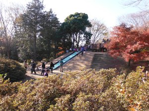 「空のすべり台」の画像15