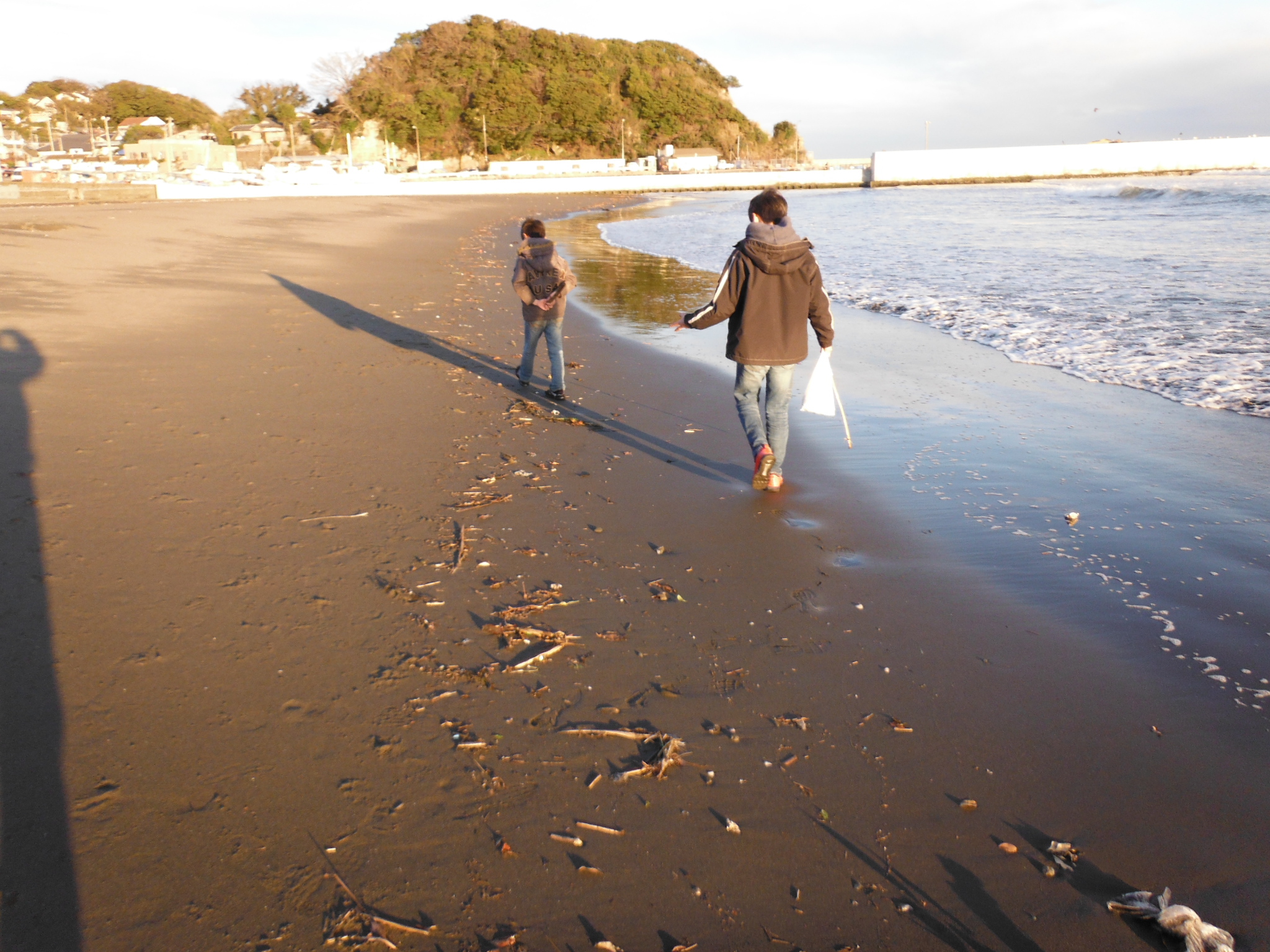 片瀬海岸東浜/腰越海岸の画像01