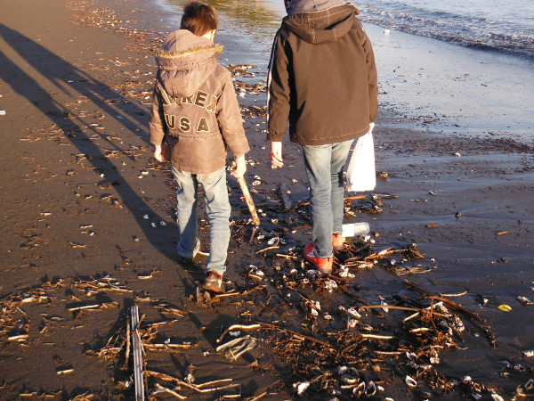 片瀬海岸東浜/腰越海岸の画像17