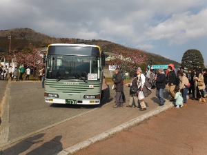 まつだ 桜 まつり シャトル バス