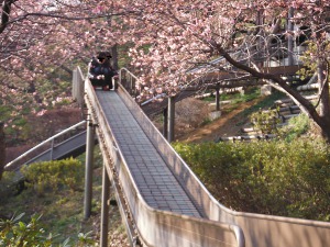 まつだ桜まつりの画像11