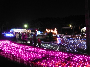 花の庭の全景2の画像18