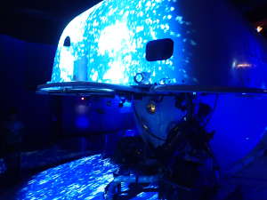 新江ノ島水族館「ナイトアクアリウム」しんかい２０００の冒険の画像10