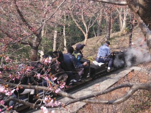 ふるさと鉄道の画像04