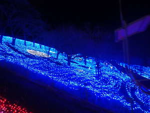 青色LEDの大海原の画像30
