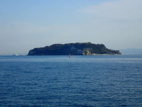 東京湾唯一の無人島「猿島」の全景の画像01