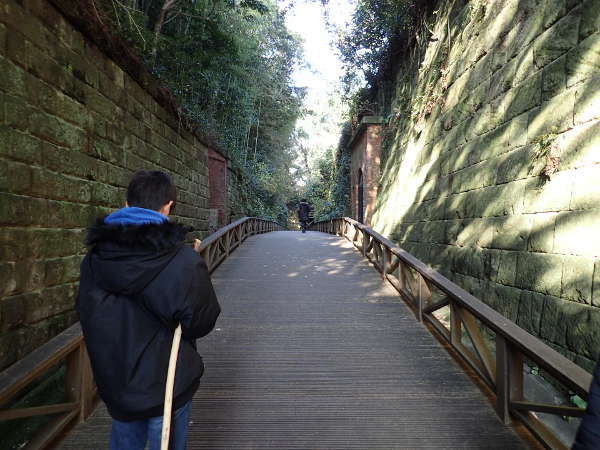 無人島「猿島」の切り通しの画像32