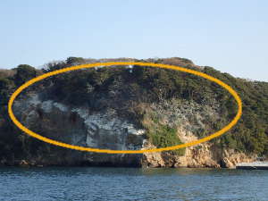 ウミウが群れる岩壁の画像65
