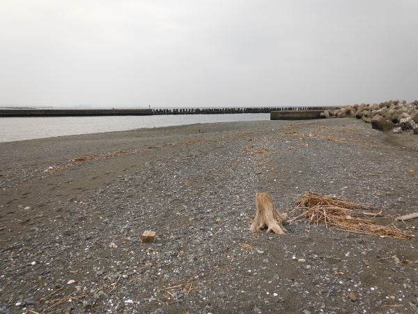 湘南新港の浜の画像01