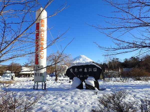 「西湖 樹氷まつり」会場の西湖野鳥の森公園の全景の画像01