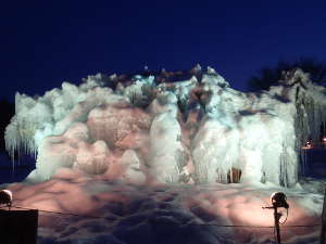 夜の国鱒(クニマス)の画像13
