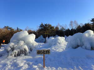 昼の樹氷郡の画像25