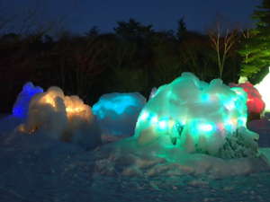 夜の樹氷郡の画像26